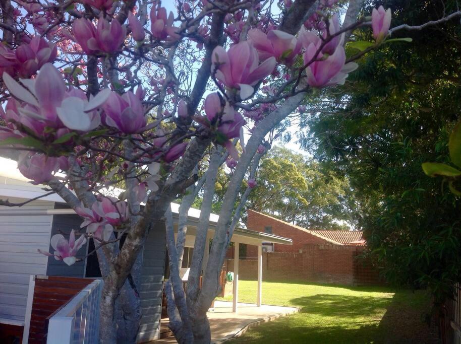 קופס הארבור Magnolia Cottage מראה חיצוני תמונה