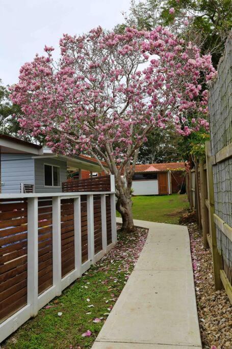 קופס הארבור Magnolia Cottage מראה חיצוני תמונה
