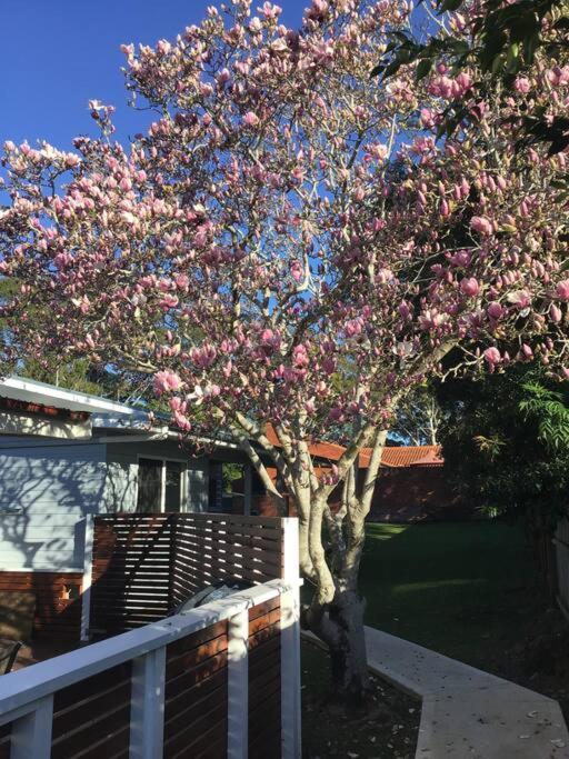 קופס הארבור Magnolia Cottage מראה חיצוני תמונה
